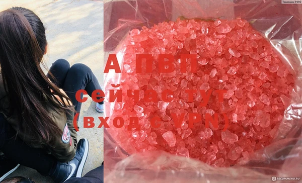 гидропоника Вяземский